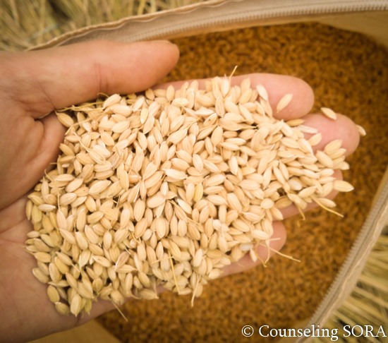 一握りの米を「食うか」か「蒔くか」の大きな違い～貧富の隔たりは心得一つ～